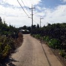 강정동-8 이미지