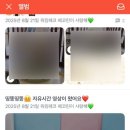 워킹페코 이미지