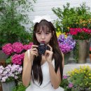 서울양은 이미지