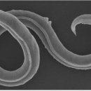 꿈틀공인중개사사무소 이미지