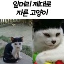 제일세탁소 이미지