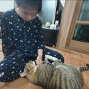 우리 리옹이~~ 이미지