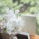 대구 메리어트 호텔 | 대구 메리어트 호텔 본식스냅 웨딩 촬영 후기 :)