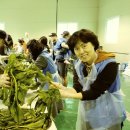 열목어마을 이미지