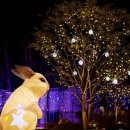 별빛정원 이미지