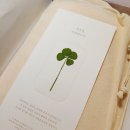 1141 | 보자기카드 청첩장 샘플 후기 [추천인코드 ys1141]