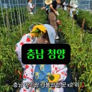 청은농장 이미지