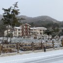 변산자연휴양림 티스토리