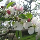 늘햇살농원 이미지