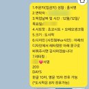 써머케이크 | [부천/역곡] 써머케이크 레터링 케이크 솔직후기 | 크리스마스 기념일 케이크 추천 내돈내산