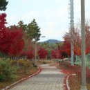 산업단지2호근린공원 이미지