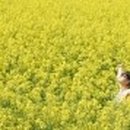 직지한의원 이미지