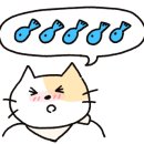 제주 소록 이미지