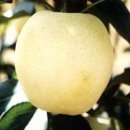 대성슈퍼 이미지