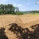 삼화리낚시터 이미지