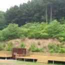 산속애견 이미지