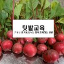 텃밭 | 도시농업 텃밭교육후기,아파트 텃밭,텃밭 추천작물,