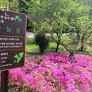 밤티재길 | 남원용양원 포도원 위치안내