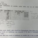 3-4월 6주차 Exercise 2(Ambisyllabic Consonant), Exercise 3(coda), Exercise 4 이미지