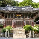 물건리지역아동센터 | “제주도 안 가도 되겠네” 역대급 피톤치드 쏟아지는 남해 편백 숲