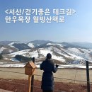 서산 한우목장 웰빙 산책로 초원위 테크길 서산 둘레길 겨울 풍경