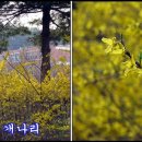 활터약수터 이미지