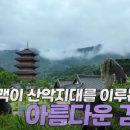 김천애견 이미지