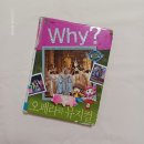 프리마 음악학원 | [독후 활동] 아바 걸스 내한공연 "맘마미아" 관람 후 "Why? 오페라와 뮤지컬", 초등 도서