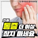 하니치과기공소 이미지