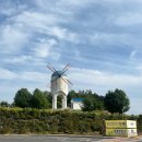 노란풍차유치원 | 태안 애견동반카페 슬로우어스 베이커리 엠플레이파크 풍차동산 데이트 코스 추천