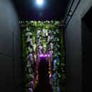 광주 경안동 술집 '수현이네' 닭 요리에 진심인 맛집 추천