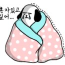 세진커텐이불 이미지