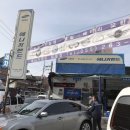 애니카랜드토월점 이미지