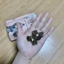 강아지 저알러지 눈물 사료 아이티아이 도그 비티 소고기 앤 장어 솔직후기