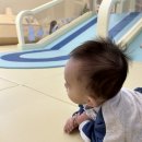 애지중지 | 공공형 키즈카페 당신처럼 애지중지 평일 현장대기 후기
