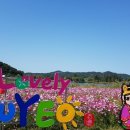 구뜨 - 용산구 | 구뜨