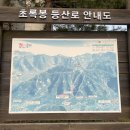 초록봉
