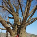 차리농장 이미지