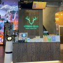 애니멀클럽 | 수지 애니멀클럽 후기｜아이와 함께 즐기는 용인 실내동물원 &amp; 키즈카페 체험!