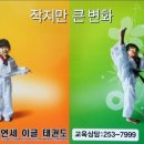 연세 이글 태권도 이미지