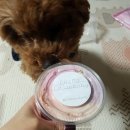 오 마이 리틀베이비 이미지