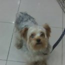 난곡동 주민센터 이미지