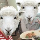 농부의 아침 이미지