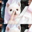 룰루랄라 이미지