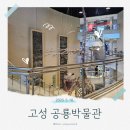 고성교육도서관 | [경남/고성] 고성 여행 코스, 아이와 가볼만한 곳:: 고성공룡박물관