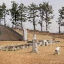 전고령가야왕릉 이미지