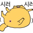 코코지 하우스