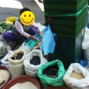 중부야채 이미지