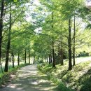 미동산수목원 이미지