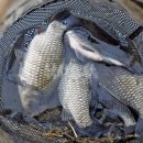 신성사거리~진천IC 이미지